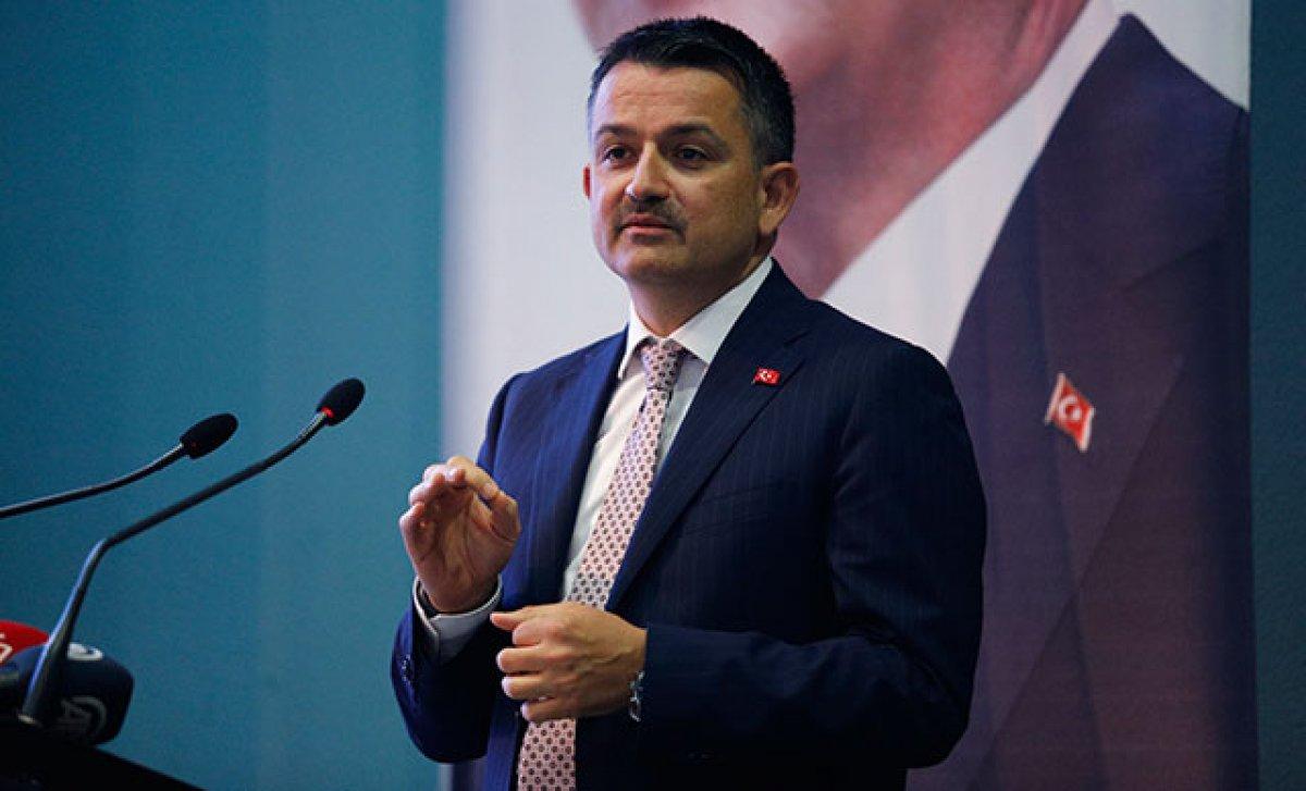 Aydın ve İzmir’deki orman yangınları kontrol altına alındı