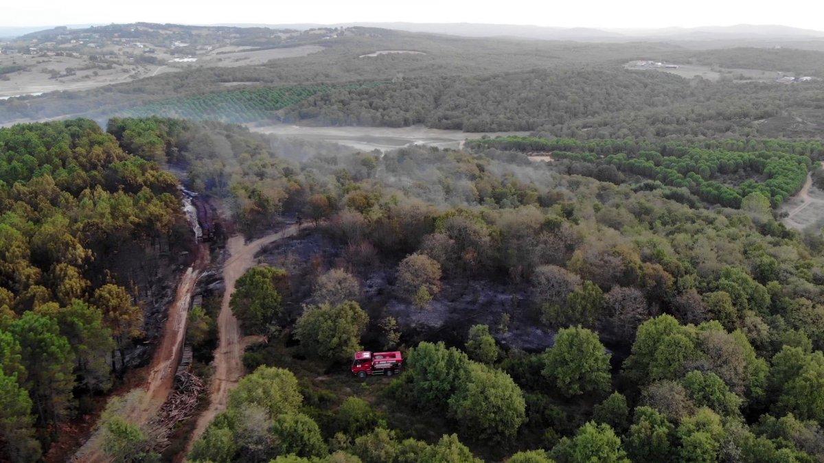 Pendik'te çıkan orman yangının tahribatı gün ağarınca ortaya çıktı