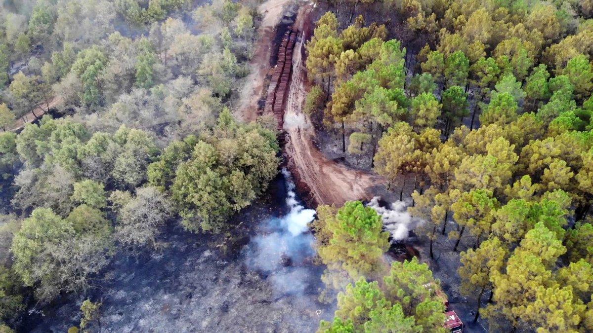 Pendik'te çıkan orman yangının tahribatı gün ağarınca ortaya çıktı