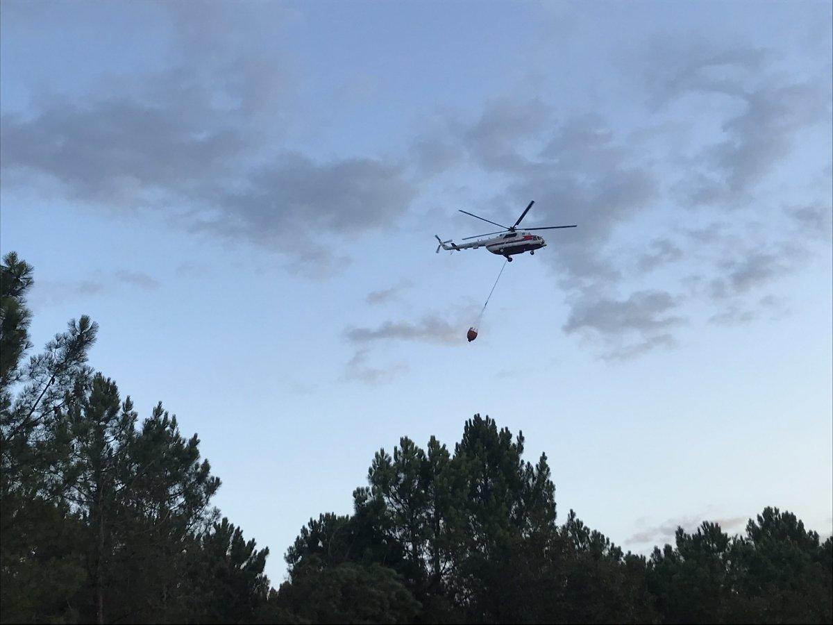 Pendik'te çıkan orman yangının tahribatı gün ağarınca ortaya çıktı
