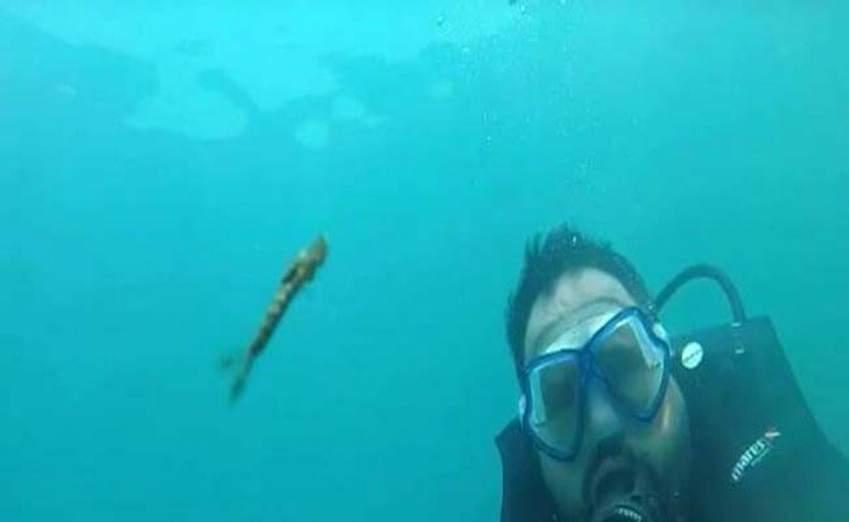 Van Gölü’nde yeni bir canlı türü görüntülendi