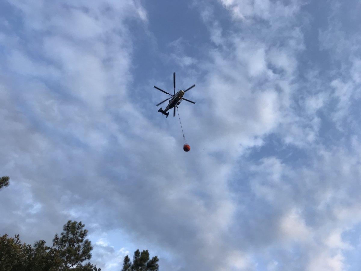 Pendik'te çıkan orman yangının tahribatı gün ağarınca ortaya çıktı