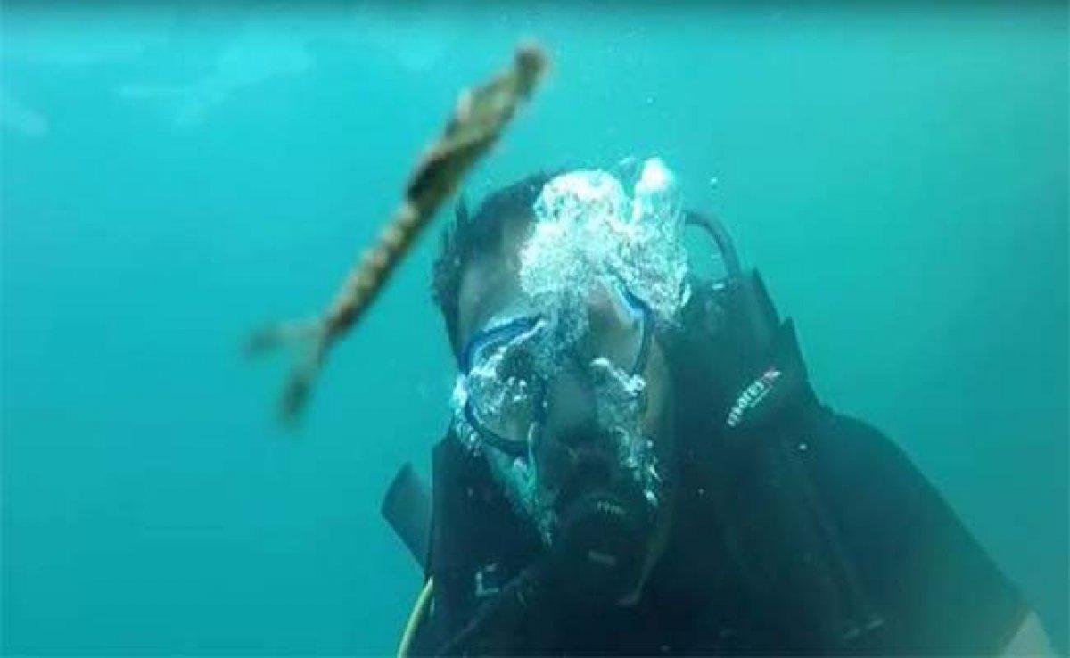 Van Gölü’nde yeni bir canlı türü görüntülendi