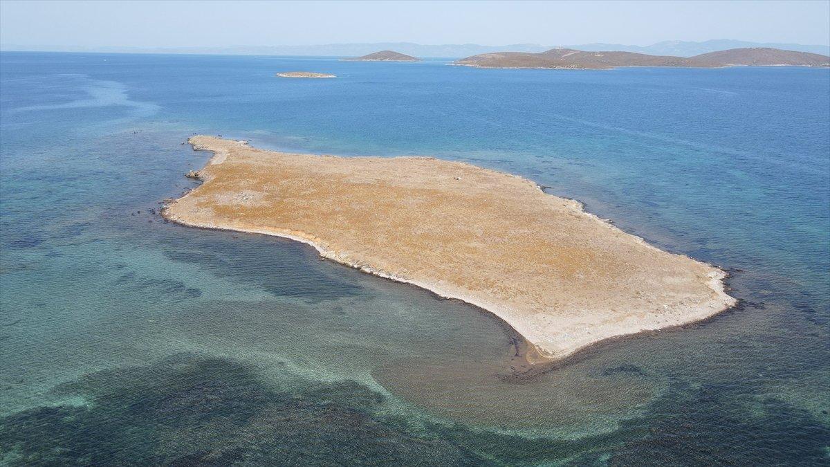 6 ildeki bazı bölgeler, kesin korunacak hassas alan listesine alındı