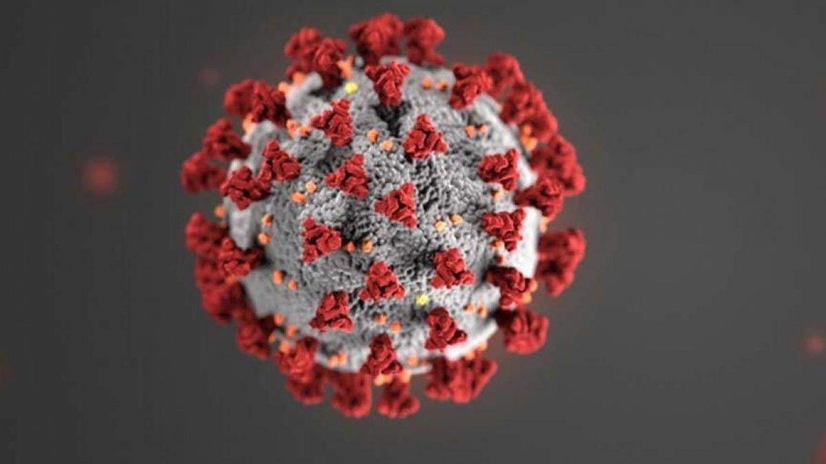 Koronavirüsün diken proteini, en az 10 farklı şekle bürünüyor
