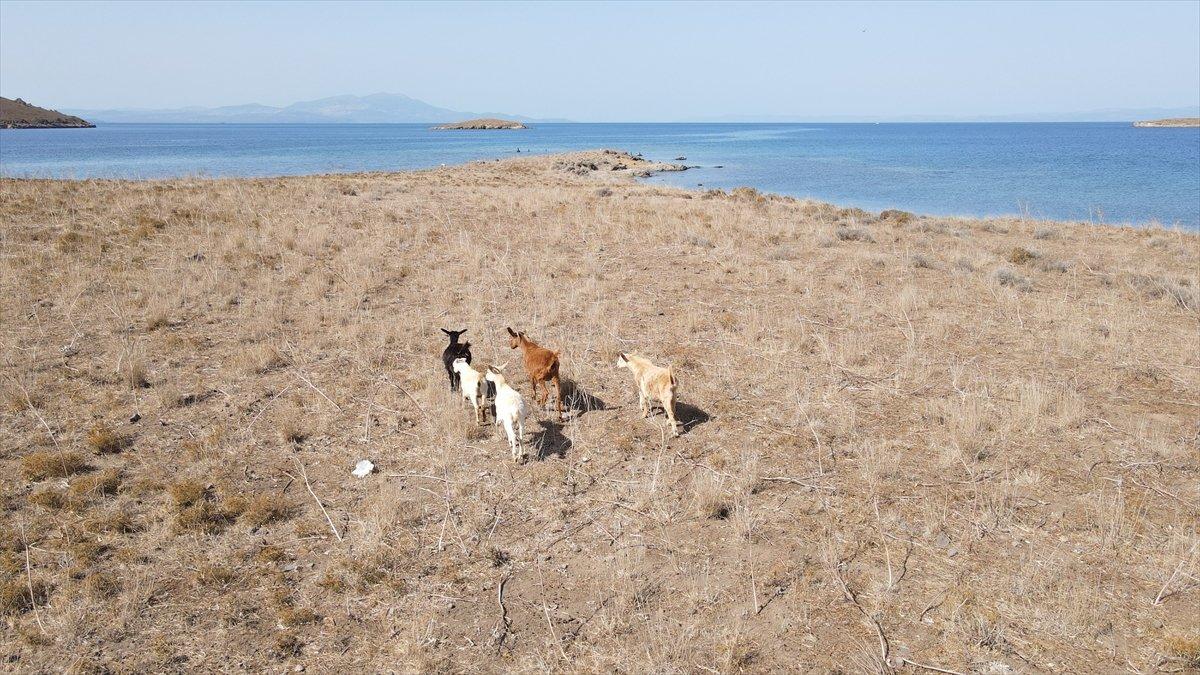 6 ildeki bazı bölgeler, kesin korunacak hassas alan listesine alındı