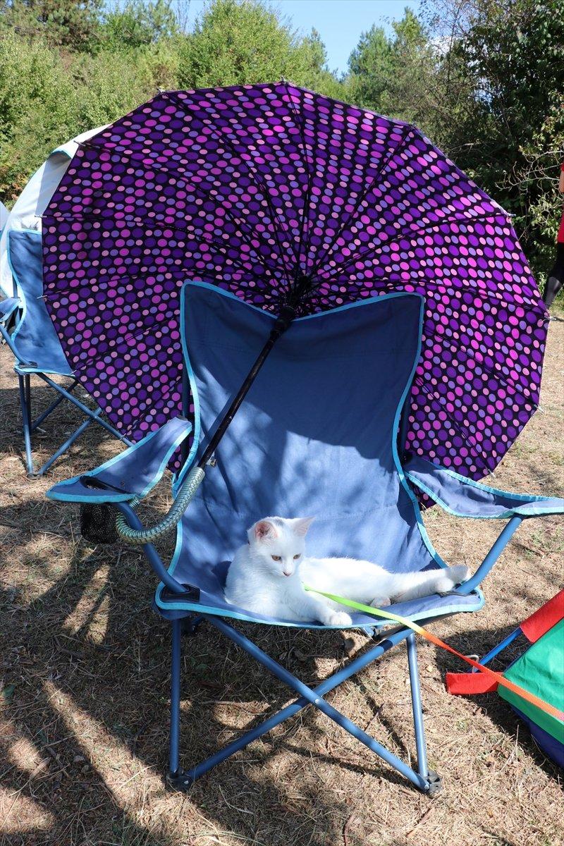 Düzce'de sosyal mesafeli doğa kampı