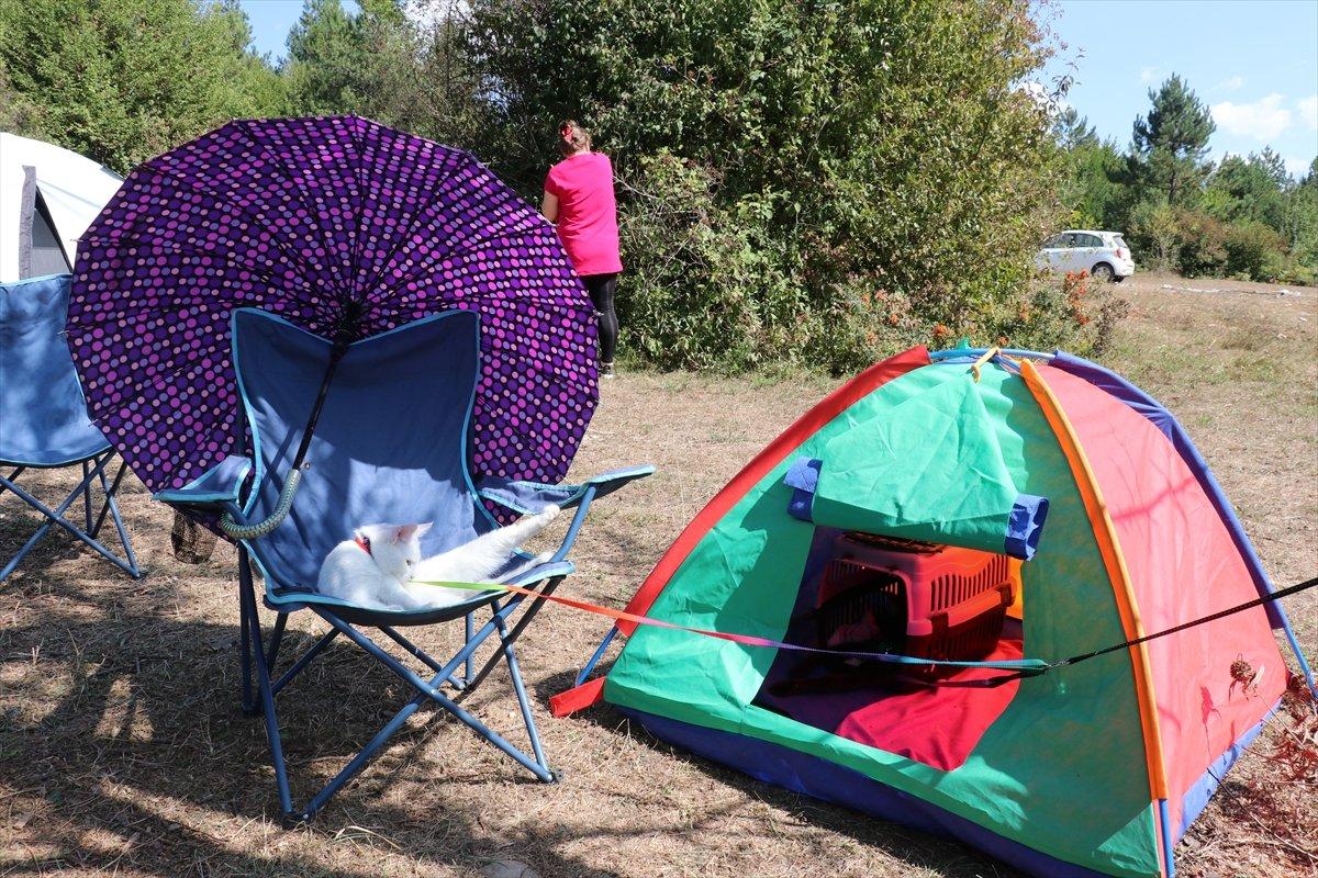 Düzce'de sosyal mesafeli doğa kampı