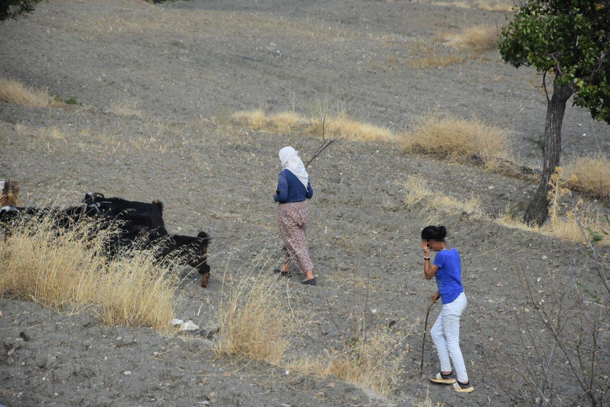 Aydın'da 14 yaşındaki çocuk keçileri otlatırken cinsel saldırıya uğradı