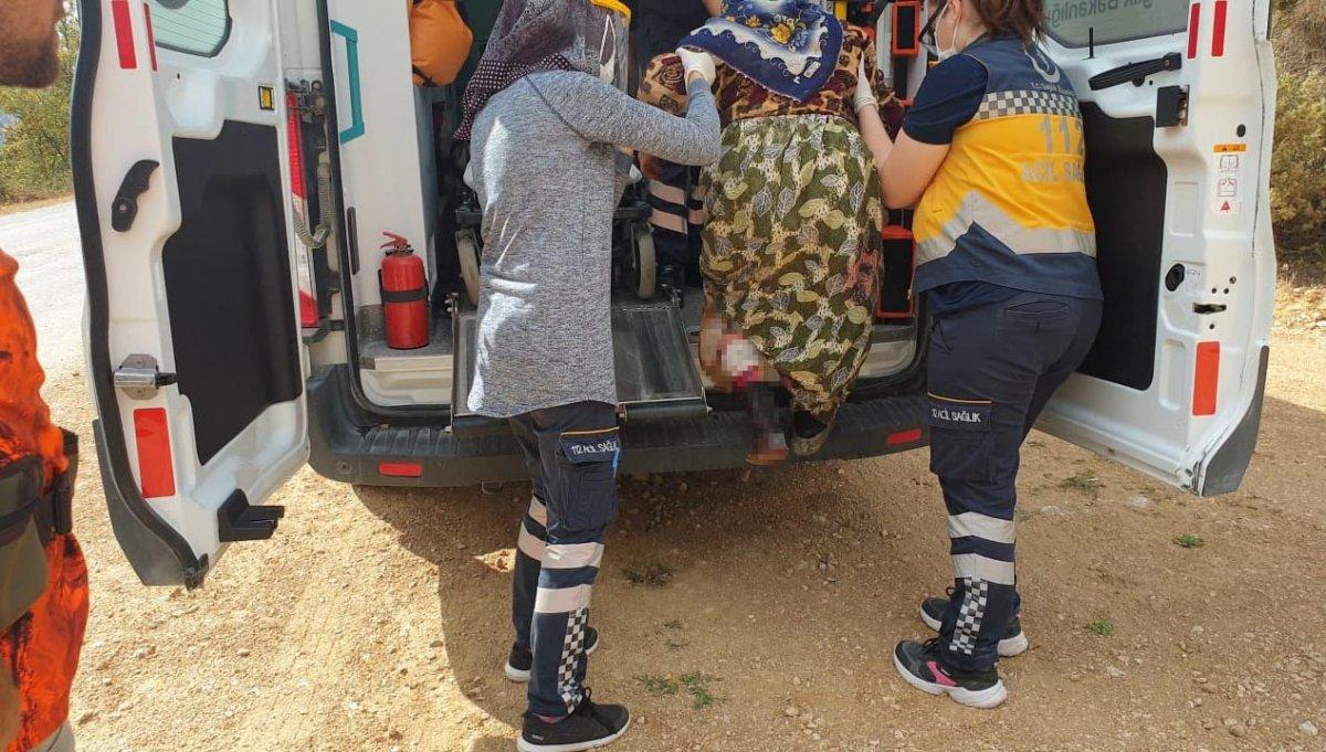 Bilecik'te domuz saldırısına uğrayan kadın hastaneye kaldırıldı