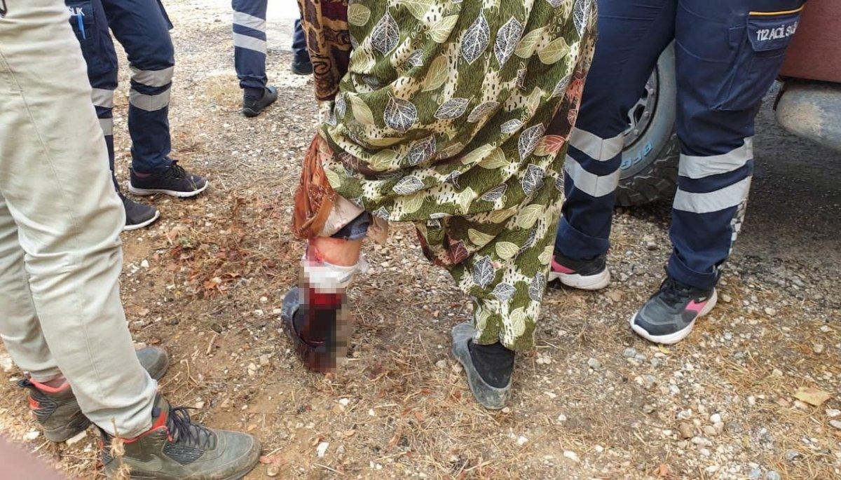 Bilecik'te domuz saldırısına uğrayan kadın hastaneye kaldırıldı