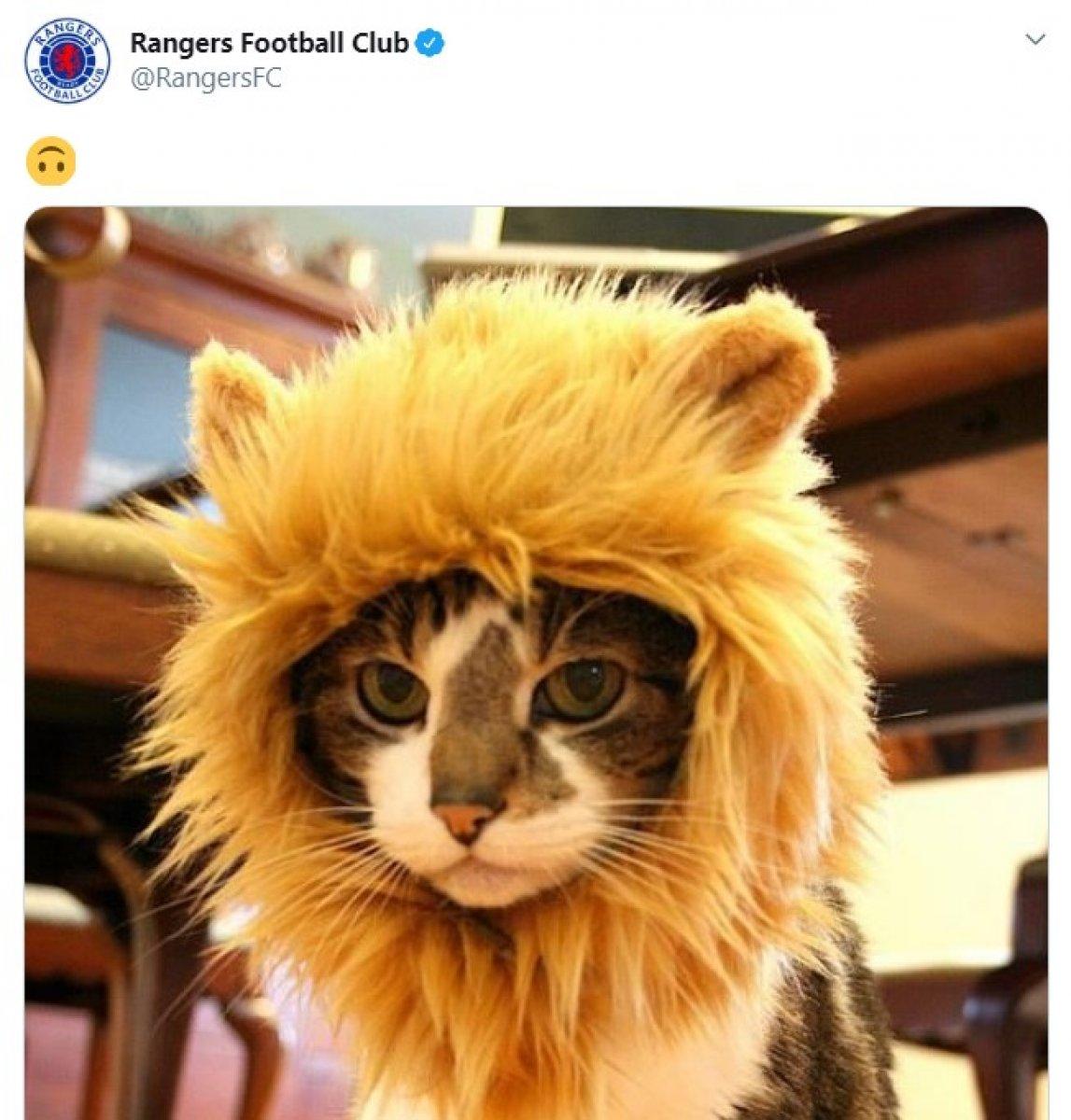 Rangers'tan Galatasaray'a 'kedili' gönderme