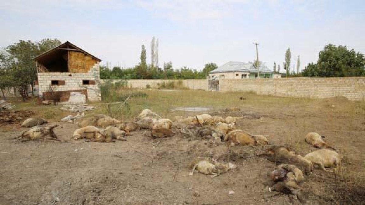 Ermenistan yine sivilleri hedef aldı