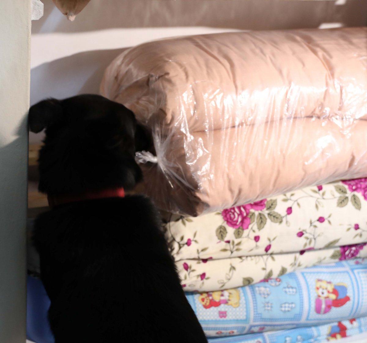 Gaziantep'te başındaki peruğun altından uyuşturucu çıktı