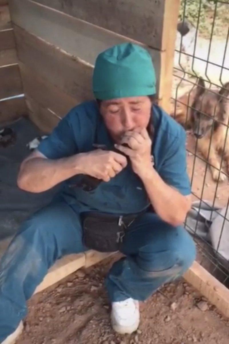 Bartın'da ölü doğan 4 yavru köpeği hayata döndüren kadın