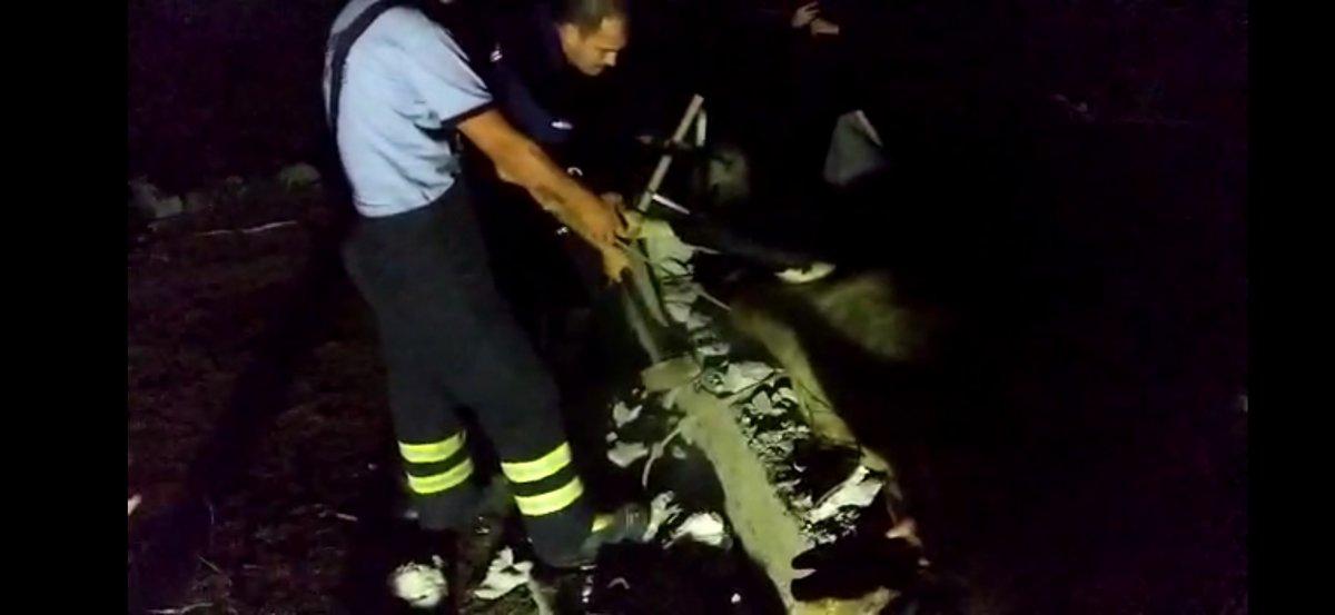 Hatay'da bir inek kanala düştü