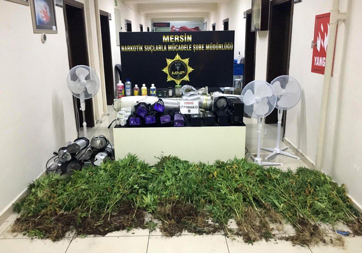 Mersin'de evine özel düzenek kurup, kenevir yetiştirdi