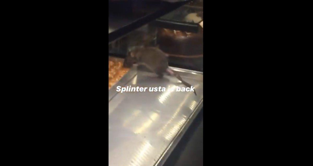 İstanbul'da bir tatlıcı vitrinindeki baklavayı yiyen fare kameraya yansıdı