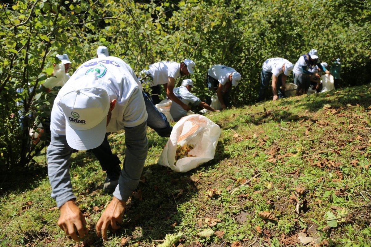 Fındık fiyatı arttı