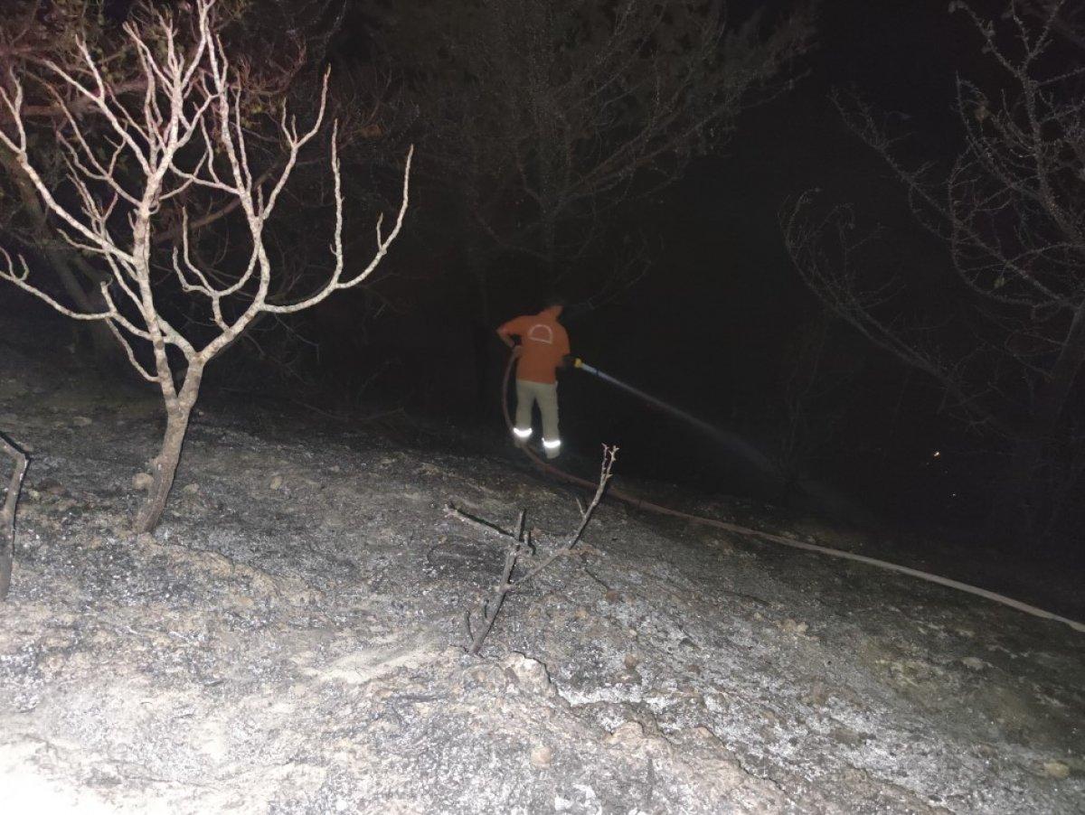 Hatay'da orman yangını meydana geldi