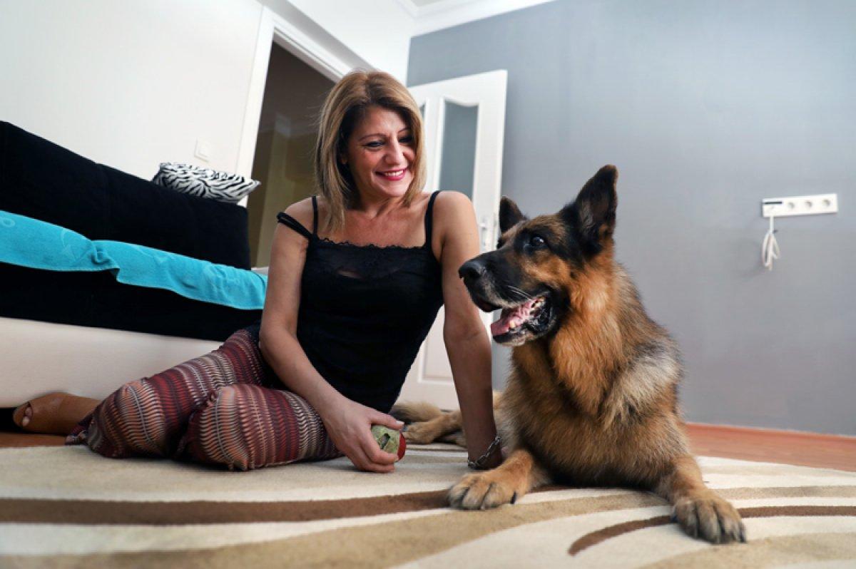 Kurkun ailesi, felçli köpeklerine çocukları gibi bakıyor