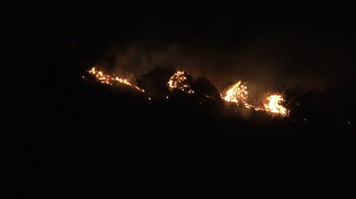 Hatay'da orman yangını meydana geldi