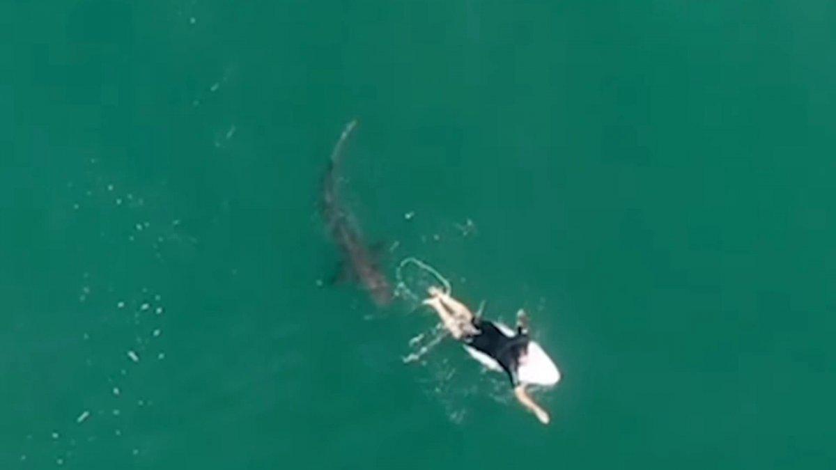 Avusturyalı sörfçünün köpek balığı tarafından takip edildiği anlar