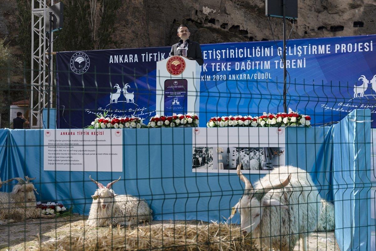 Bekir Pakdemirli