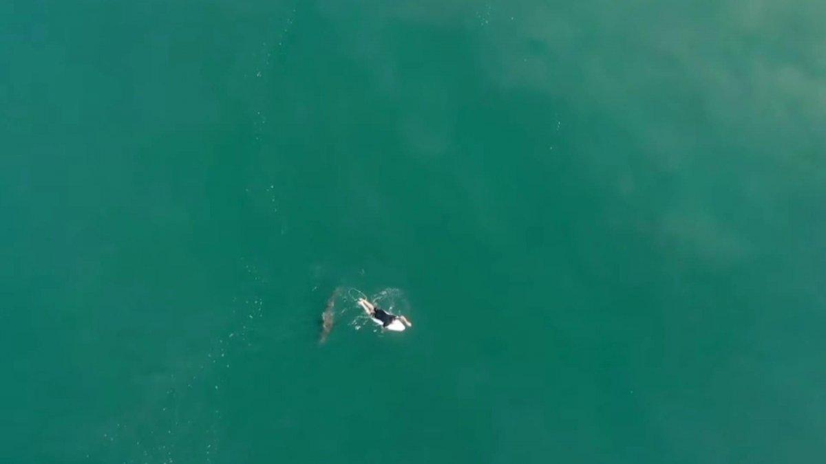 Avusturyalı sörfçünün köpek balığı tarafından takip edildiği anlar