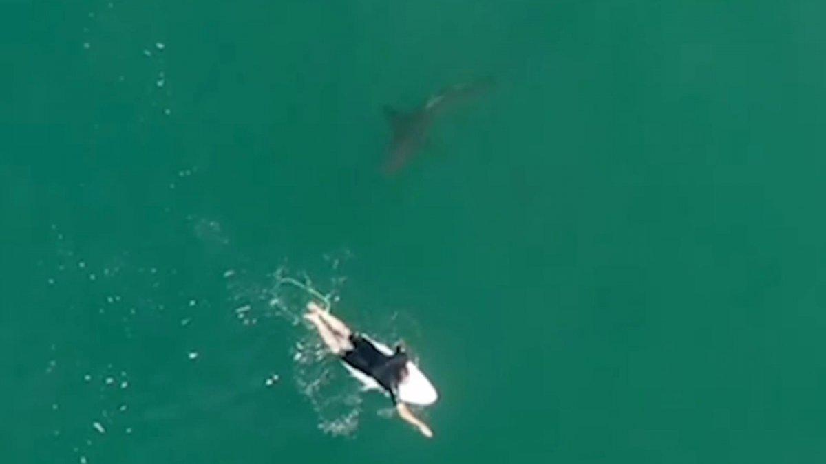 Avusturyalı sörfçünün köpek balığı tarafından takip edildiği anlar