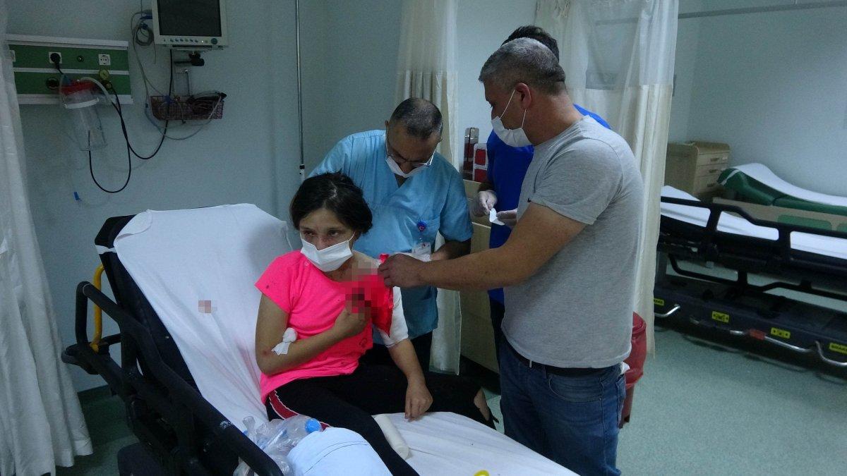 Samsun'da pitbull cinsi köpekler, 11 yaşındaki Tuğba'ya saldırdı