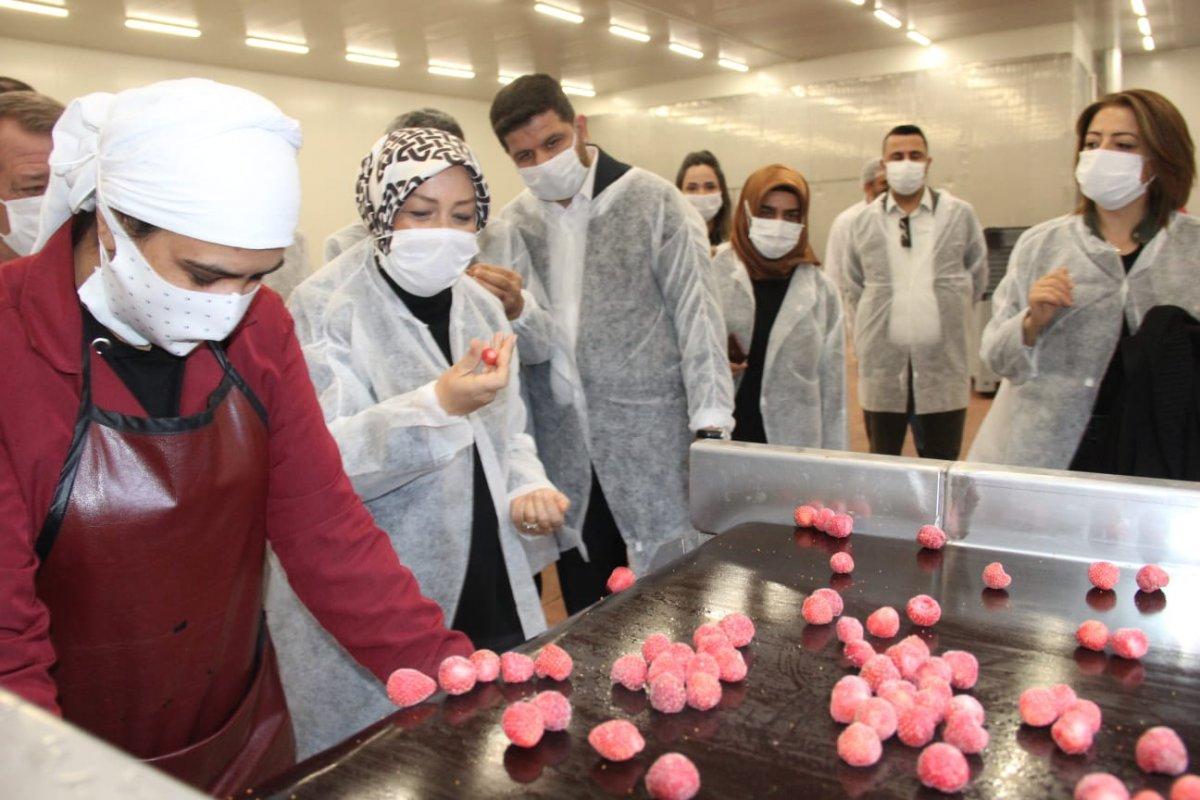 AK Partili Çalık: TKDK desteğiyle Malatya’da 3 bin istihdam oluştu