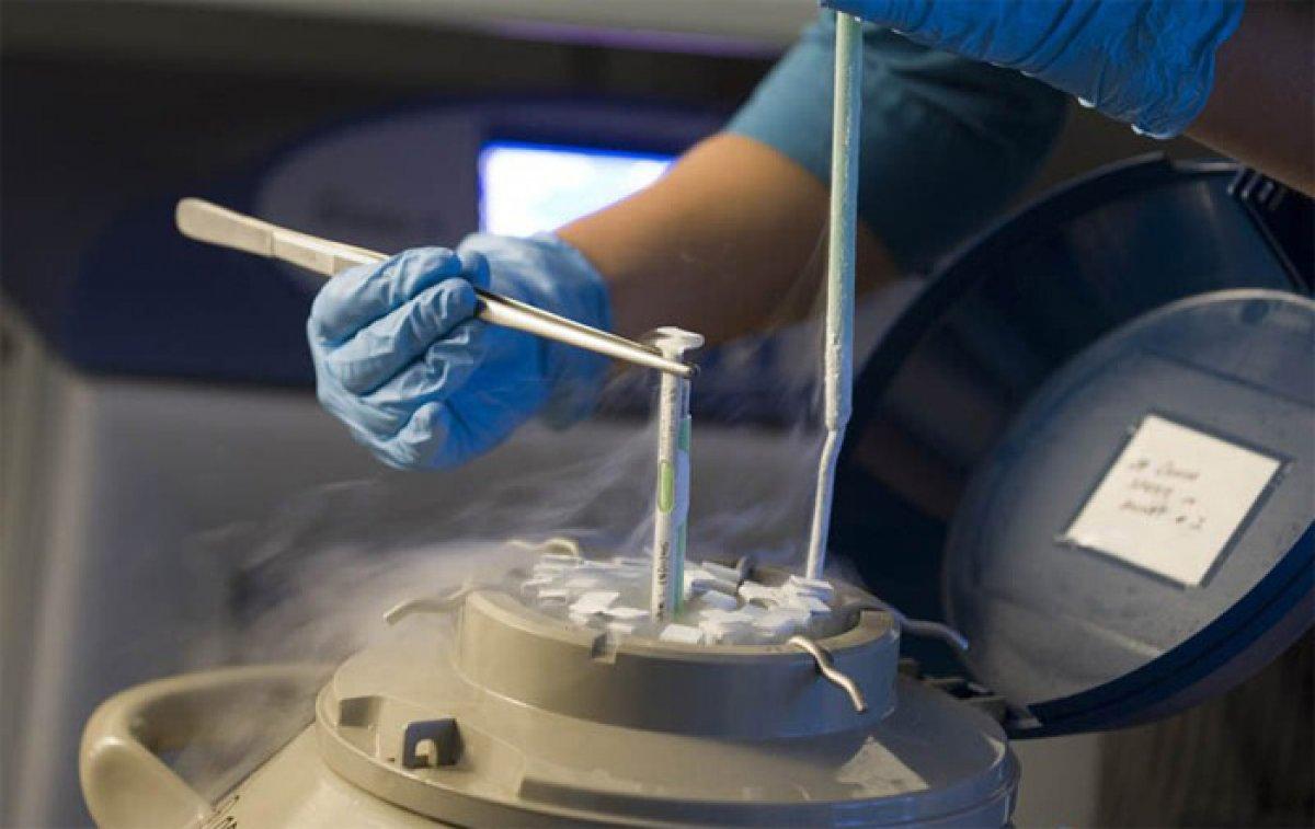 Yumurta dondurma işlemi nedir? Yumurtalar nasıl dondurulur?