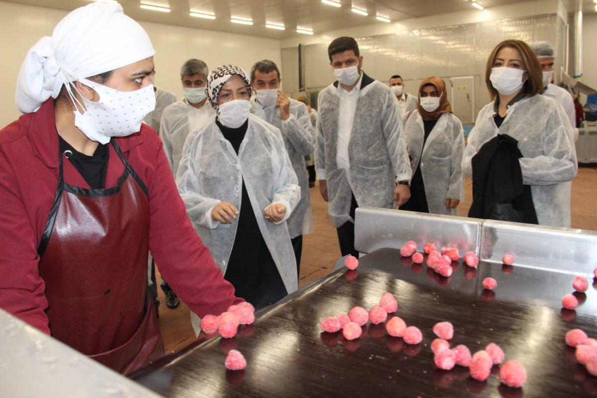 AK Partili Çalık: TKDK desteğiyle Malatya’da 3 bin istihdam oluştu