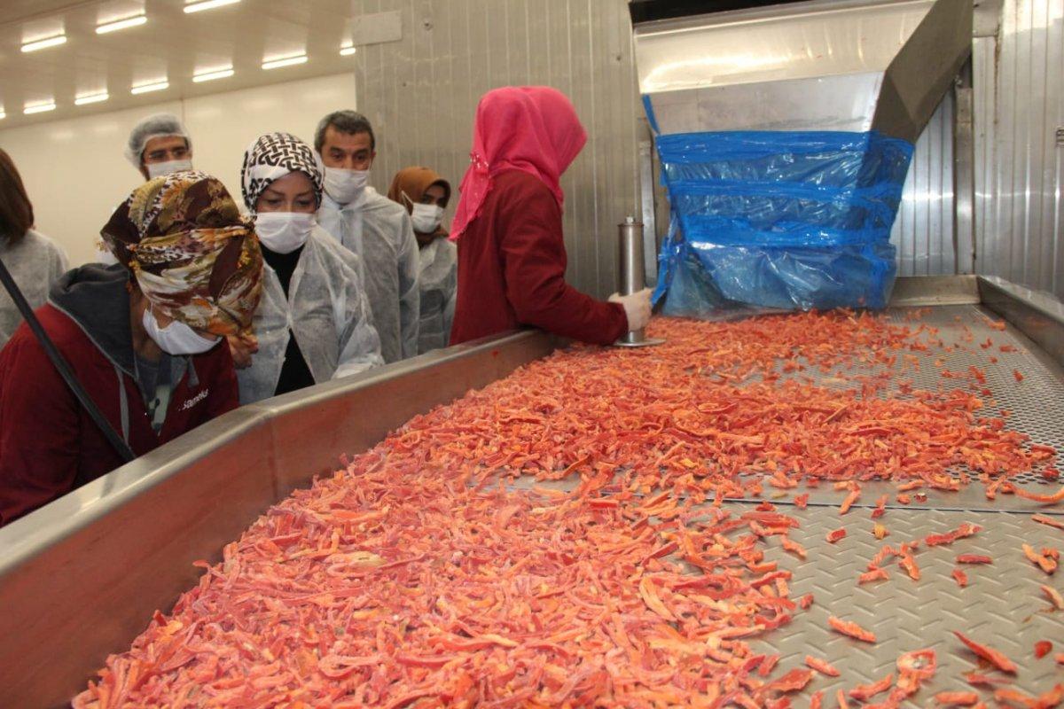 AK Partili Çalık: TKDK desteğiyle Malatya’da 3 bin istihdam oluştu