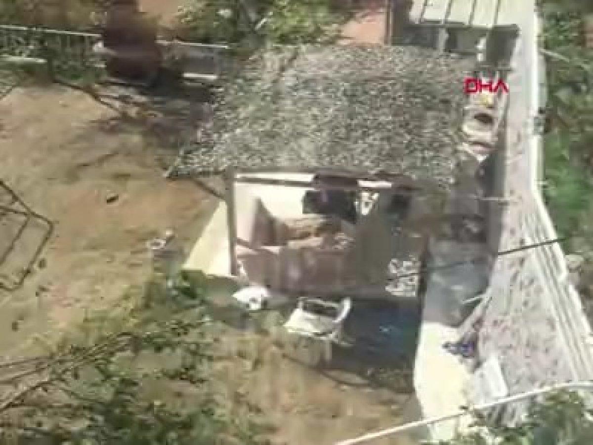 İstanbul'da sahiplendikleri hayvanlara işkence ettiler