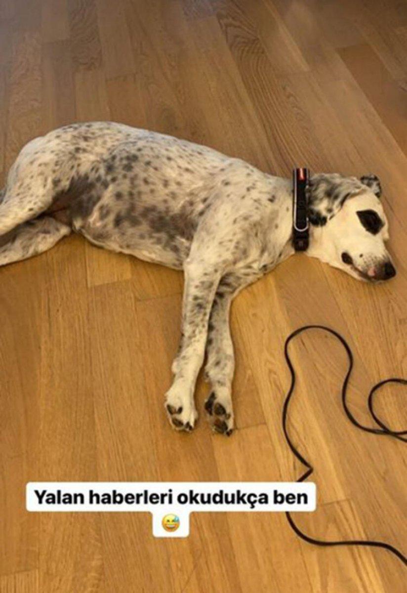 Hadise ile Kaan Yıldırım ayrıldı mı?