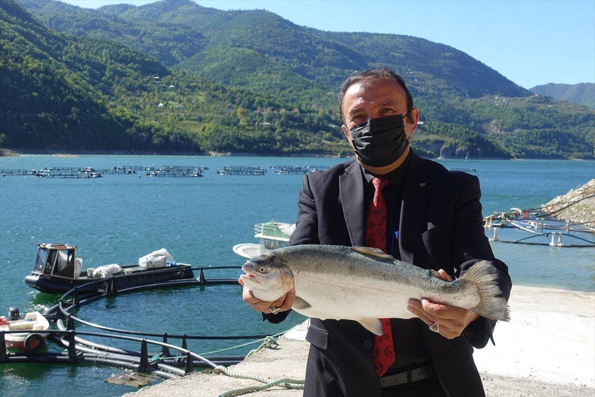 Borçka'da kafes balıkçılığı