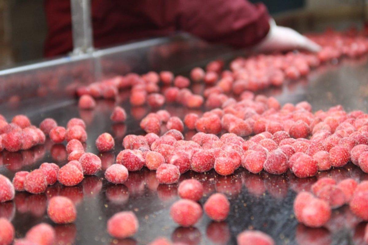 AK Partili Çalık: TKDK desteğiyle Malatya’da 3 bin istihdam oluştu