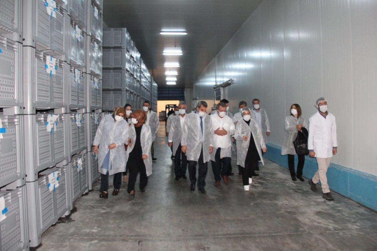 AK Partili Çalık: TKDK desteğiyle Malatya’da 3 bin istihdam oluştu