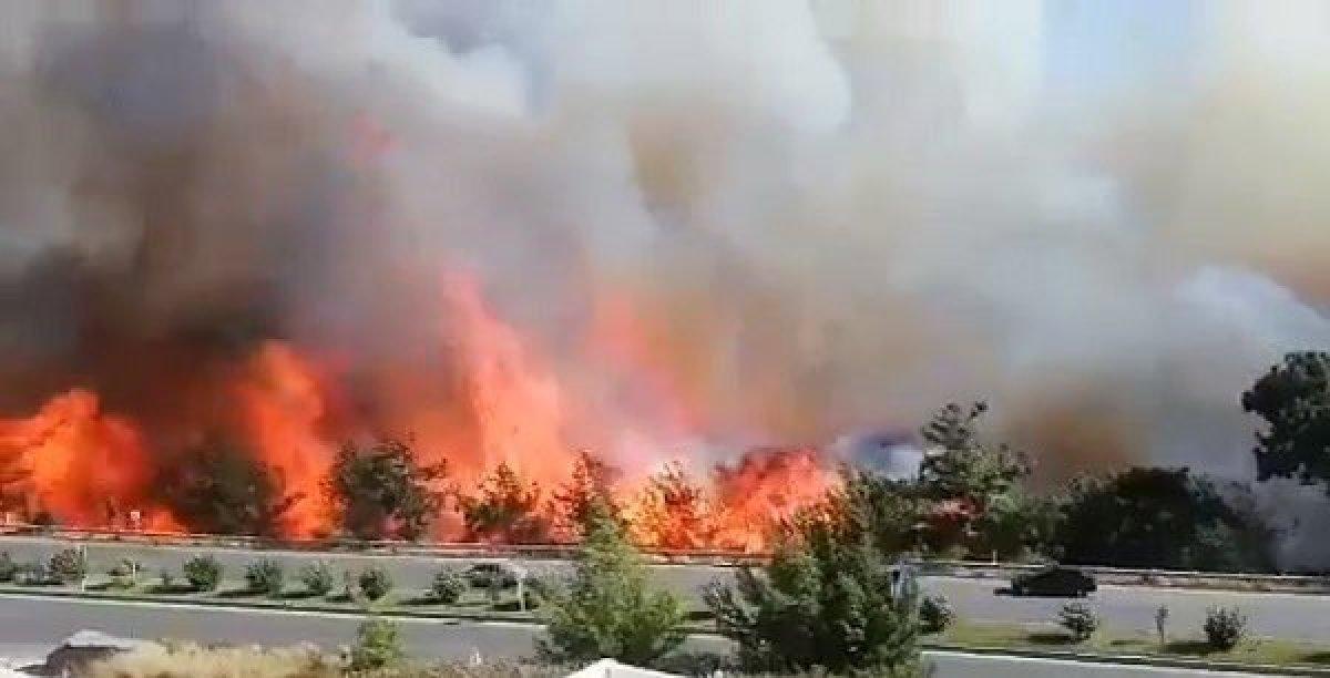 Hatay'da çıkan yangına ilişkin gözaltı kararı