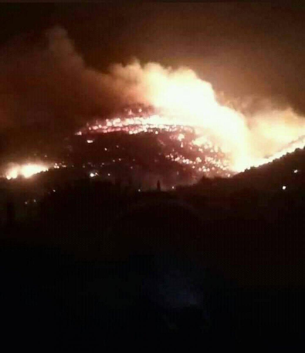 Suriye'de orman yangını: 3 ölü