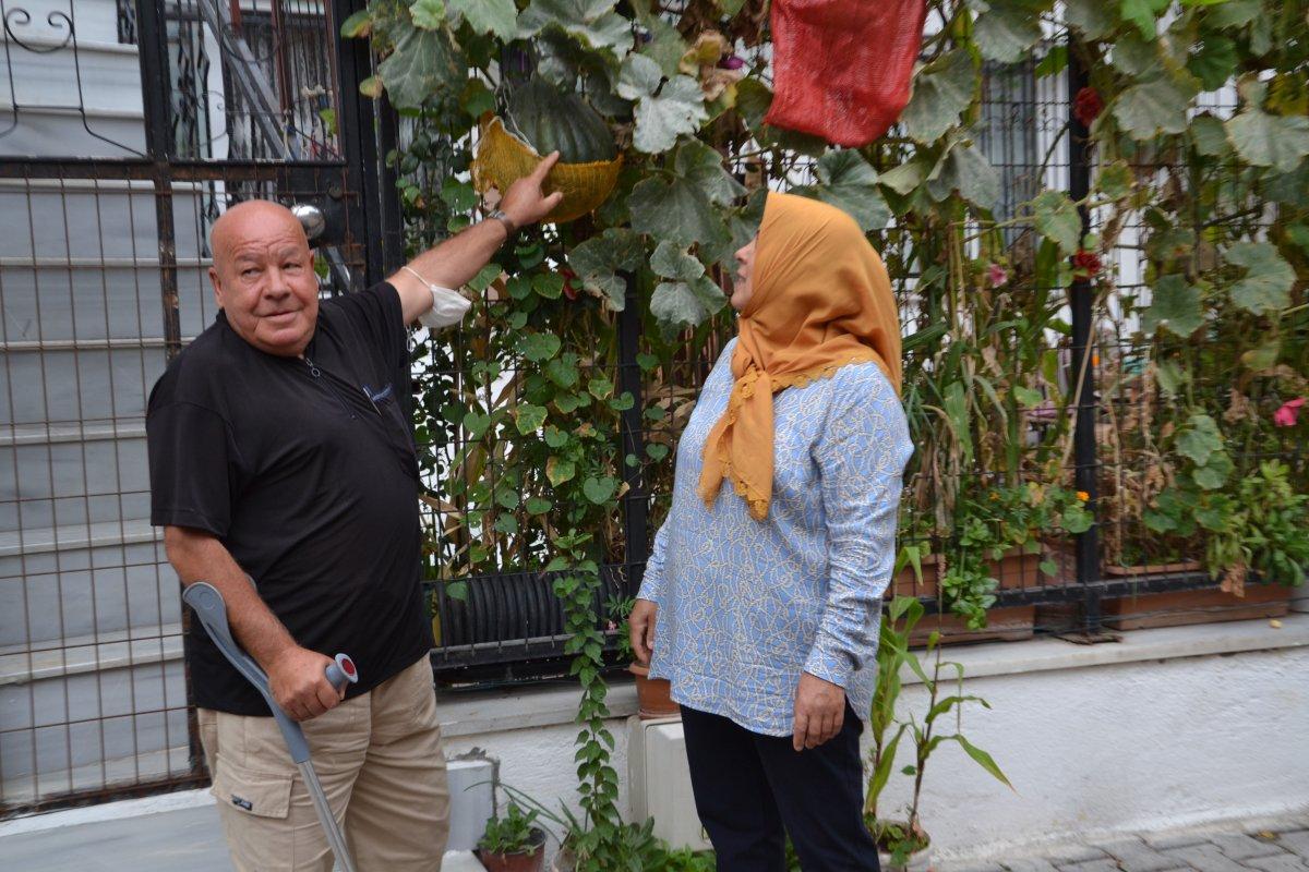 3 ay önce ektiği kabağın boyu 120 metreyi buldu