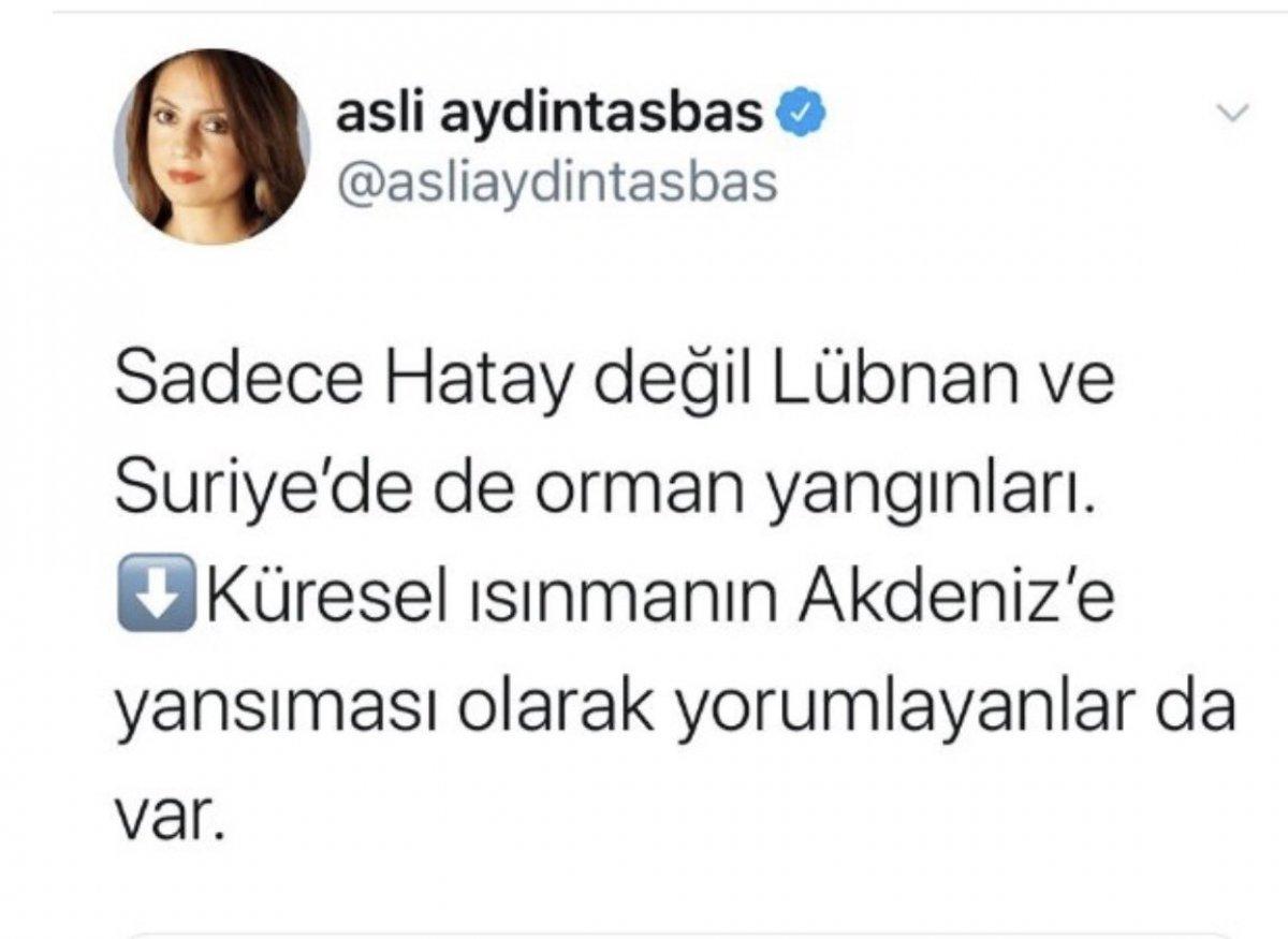 Aslı Aydıntasbaş Hatay'daki yangının nedenine küresel ısınma dedi