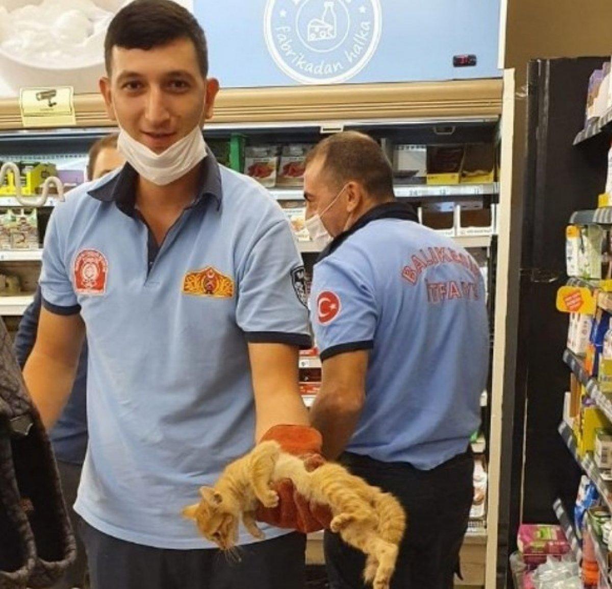 Balıkesir'de sıkışan yavru kediyi itfaiye kurtardı