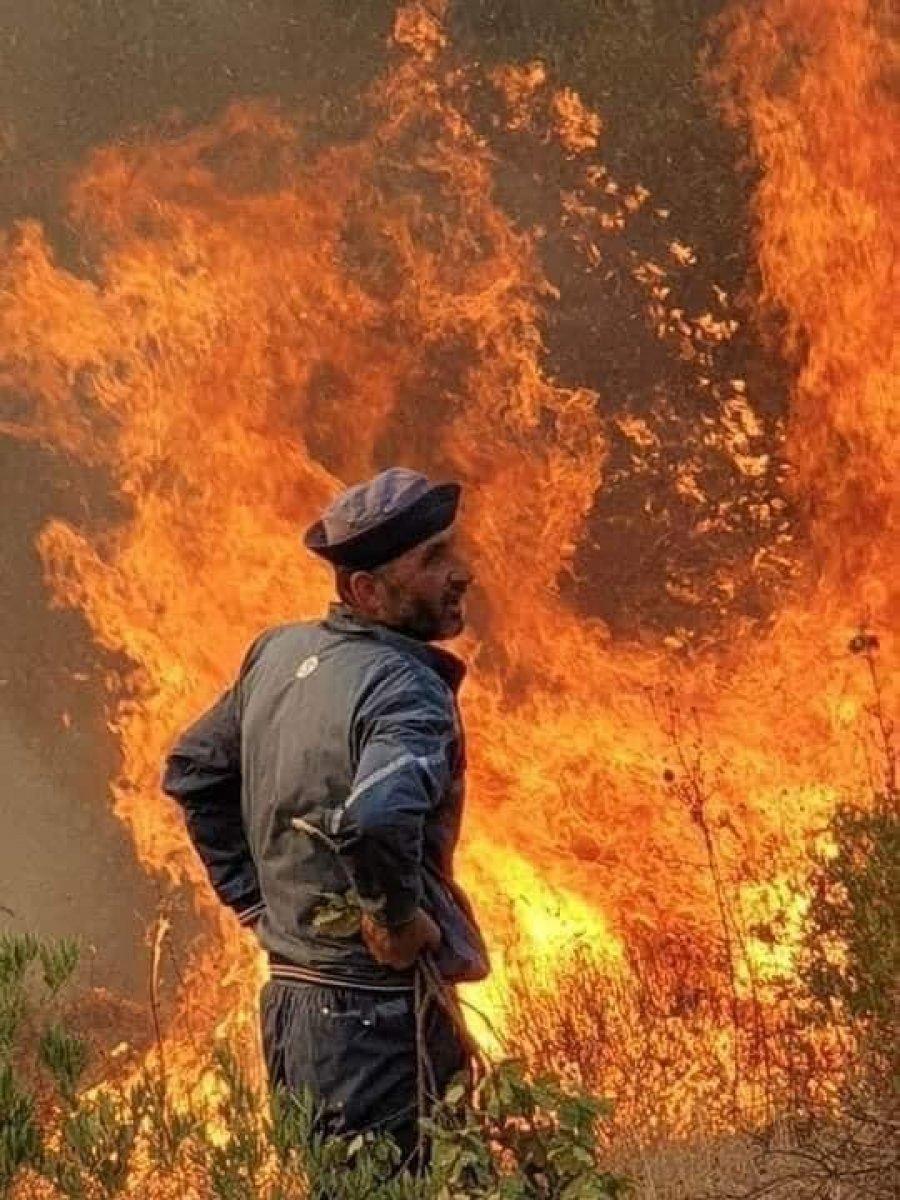 Suriye'de orman yangını: 3 ölü