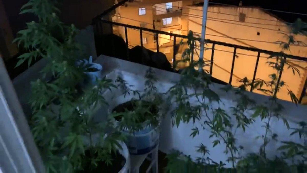 İstanbul’un göbeğindeki uyuşturucu serasına operasyon