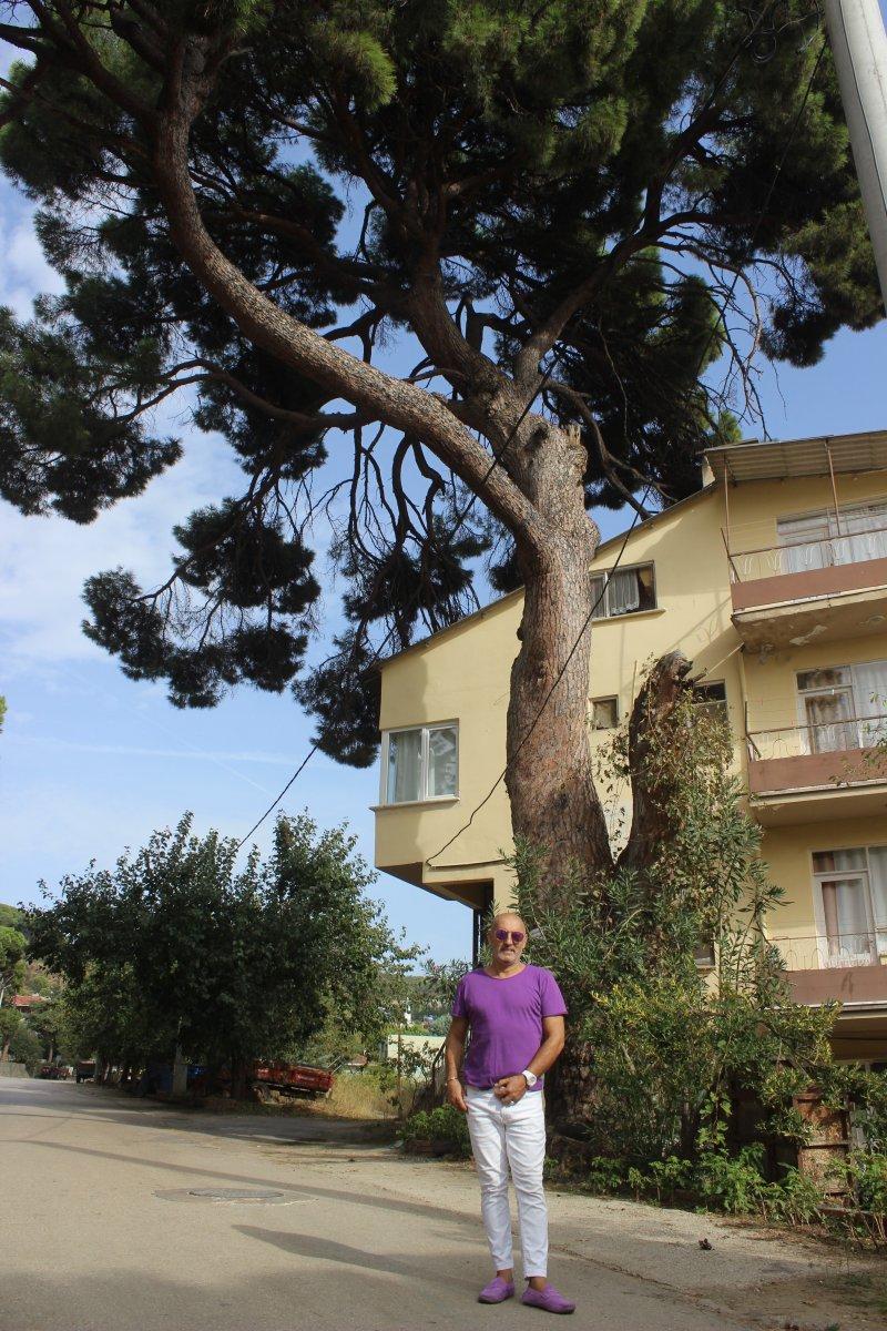 İngilizlerin topla yıkamadığı 700 yaşındaki tek kollu gazi hâlâ ayakta