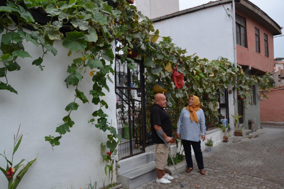 3 ay önce ektiği kabağın boyu 120 metreyi buldu
