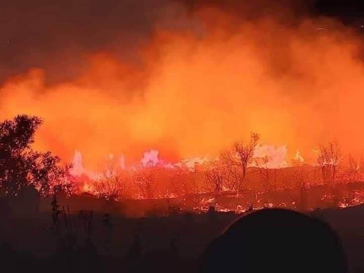 Suriye'de orman yangını: 3 ölü